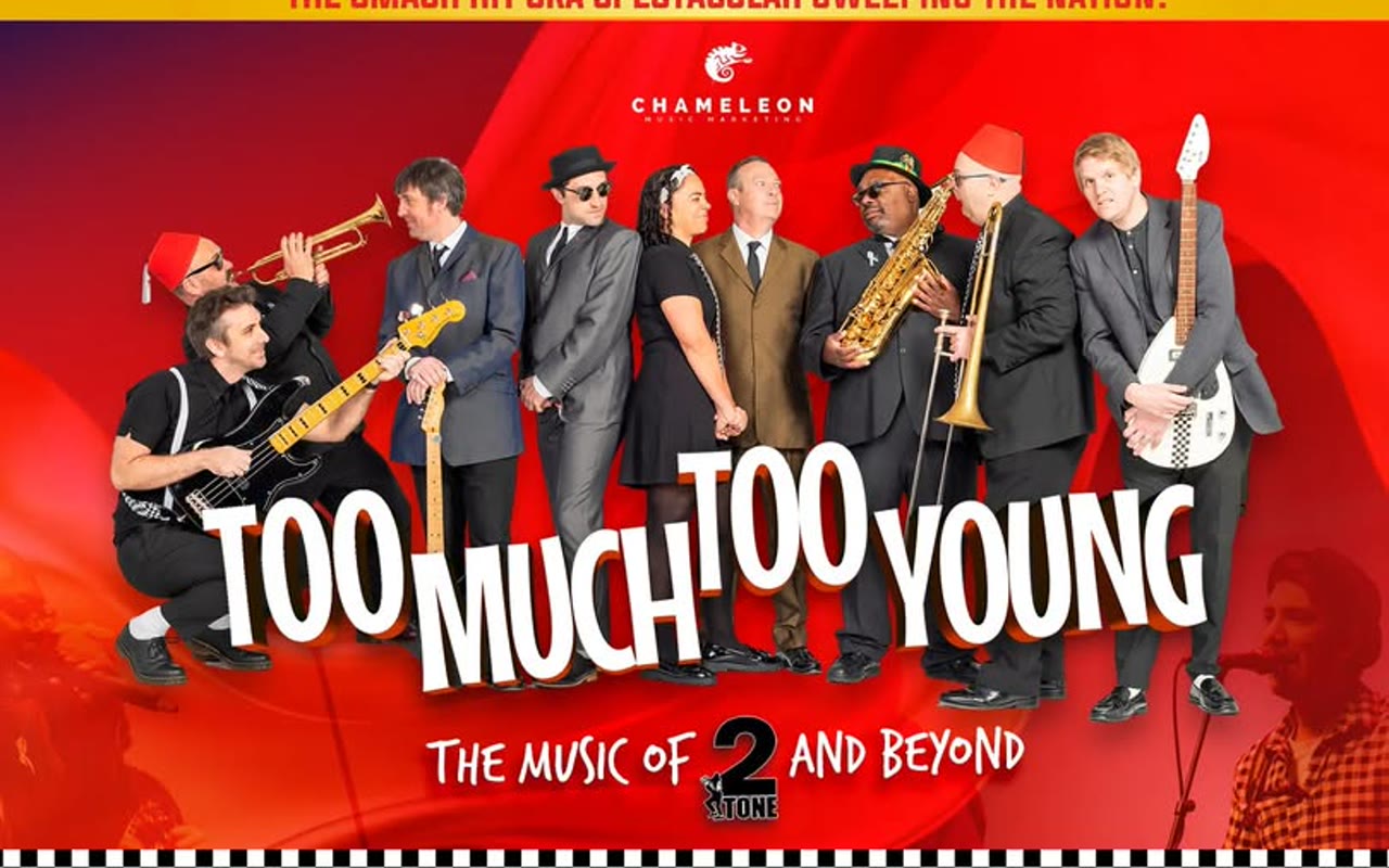 Too Much Too Young artwork, PLAYHOUSE Whitley Bay